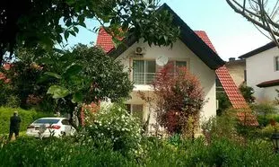 5 نکته کلیدی برای خرید زمین در چمستان