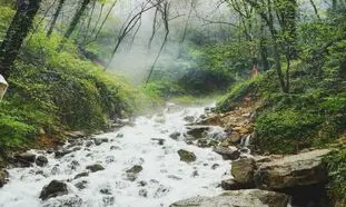 آشنایی با جذابیت ها و برخی هتل های شهر زیبای نور