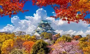 8 دلیل مهم برای سفر به ژاپن