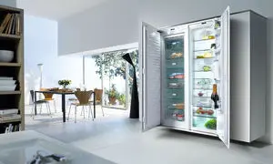 ‎محبوب ترین یخچال و فریزر دوقلو اسنوا در بازار + قیمت