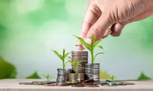 وام 200 میلیون تومانی حمایتی بانک کشاورزی مختص چه افرادی است؟