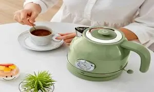 قیمت انواع کتری برقی خارجی در بازار