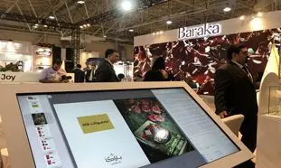 راه‌اندازی آکادمی باراکا / تولید برند جدید باراکا با نام باراکیدز