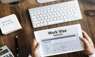 بررسی انواع ویزای کاری هلند
