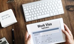 بررسی انواع ویزای کاری هلند