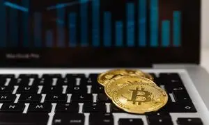 عوامل موثر روی رشد محبوبیت و قیمت بیت کوین کدام است؟