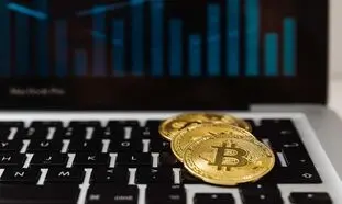 عوامل موثر روی رشد محبوبیت و قیمت بیت کوین کدام است؟