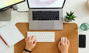 5 شغل دورکاری با حقوق بالای 15 میلیون/ مهرماه