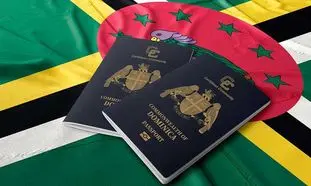 چرا باید پاسپورت دوم داشته باشیم؟