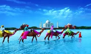 سفری جادویی به عجایب کشور هند