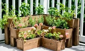 راهنمای جامع خرید فلاور باکس