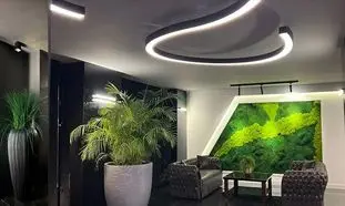 جدیدترین ایده‌ های طراحی داخلی سالن انتظار مطب با دیوار سبز