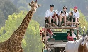 ماجراجویی هیجان انگیز با تور آفریقای جنوبی