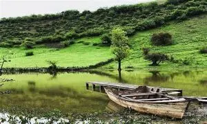 خرید و فروش و اجاره زمین قائمشهر