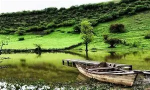خرید و فروش و اجاره زمین قائمشهر