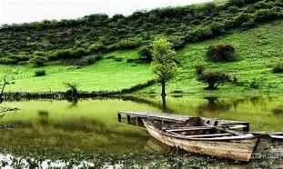 خرید و فروش و اجاره زمین قائمشهر