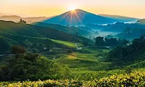 بهترین زمان رزرو تور مالزی