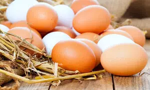 تخم مرغ هر کیلو 2000 تومان گران شد