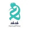 سرمایه گذاری خطرپذیر هدهد