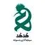 سرمایه گذاری خطرپذیر هدهد