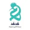 سرمایه گذاری خطرپذیر هدهد