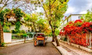 رزرو تور 1403 استانبول از آریاک سفر