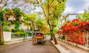رزرو تور 1403 استانبول از آریاک سفر