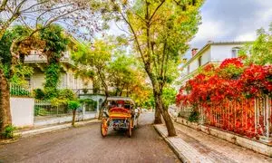 رزرو تور 1403 استانبول از آریاک سفر