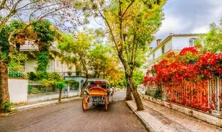 رزرو تور 1403 استانبول از آریاک سفر