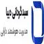 سبدگردان دیبا