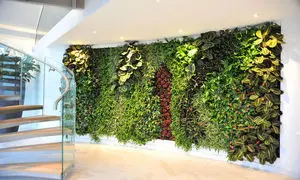 مزایای اقتصادی دیوار سبز خزه‌ای