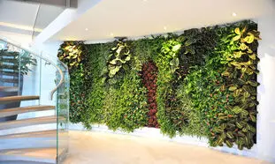 مزایای اقتصادی دیوار سبز خزه‌ای