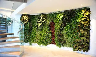 مزایای اقتصادی دیوار سبز خزه‌ای