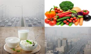 راهکارهای تغذیه ای برای کاهش مضرات آلودگی هوا