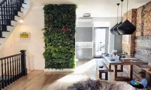 6 ایده برای تزئین فضای خانه با دیوار سبز