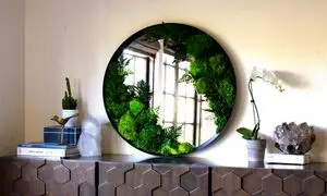 موارد استفاده از ماس ‌وال در طراحی داخلی ساختمان