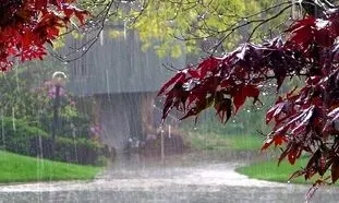 نوید پایان پربارش پاییز