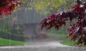نوید پایان پربارش پاییز