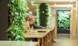 اهمیت اجرای طراحی بیوفیلیک در مدارس