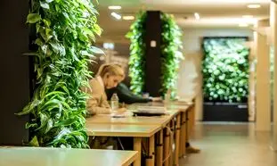 اهمیت اجرای طراحی بیوفیلیک در مدارس