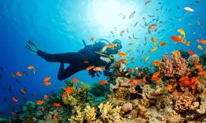 جذاب ترین تفریحات آبی جزیره هنگام