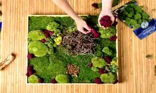 هنر استفاده از قاب‌‌ خزه‌ای در خلق اثر جاودانه از طبیعت