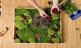 هنر استفاده از قاب‌‌ خزه‌ای در خلق اثر جاودانه از طبیعت