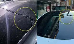 چین در ساخت تسلا دست گل به آب داد