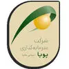 سرمایه گذاری پویا