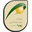 سرمایه گذاری پویا