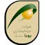 سرمایه گذاری پویا