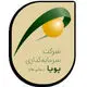 سرمایه گذاری پویا
