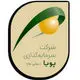 سرمایه گذاری پویا