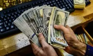 دلار 250 تومان گران شد